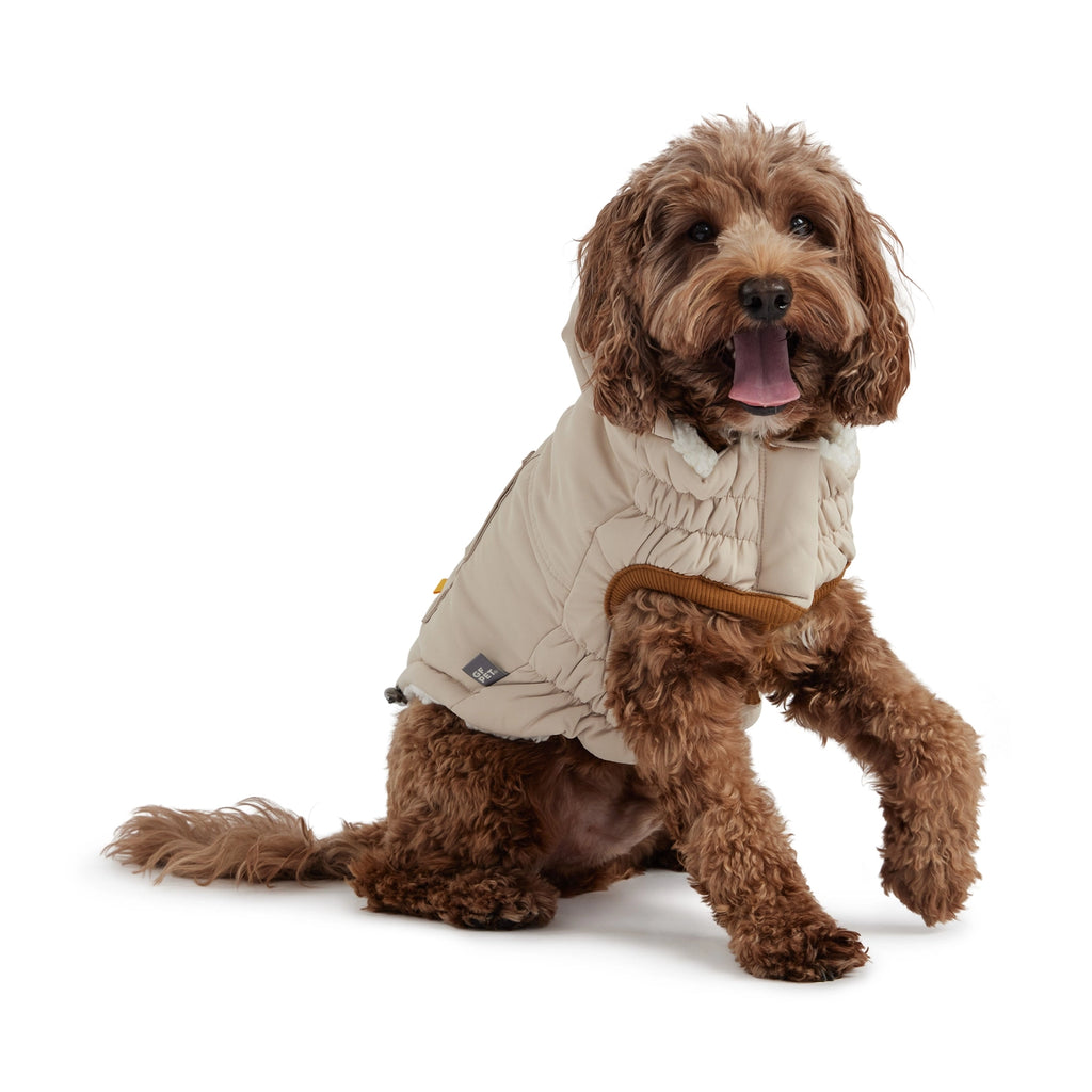 GF Pet Arctic Parka - Sand