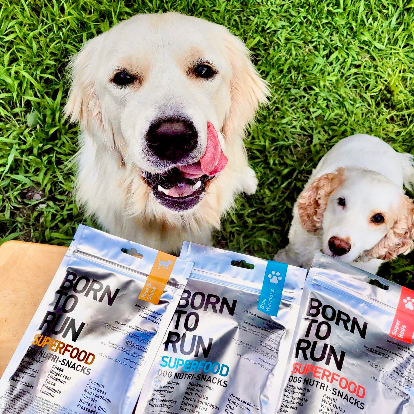 Born To Run Rise & Shine Anti-Inflammatory & Joint Support Treats