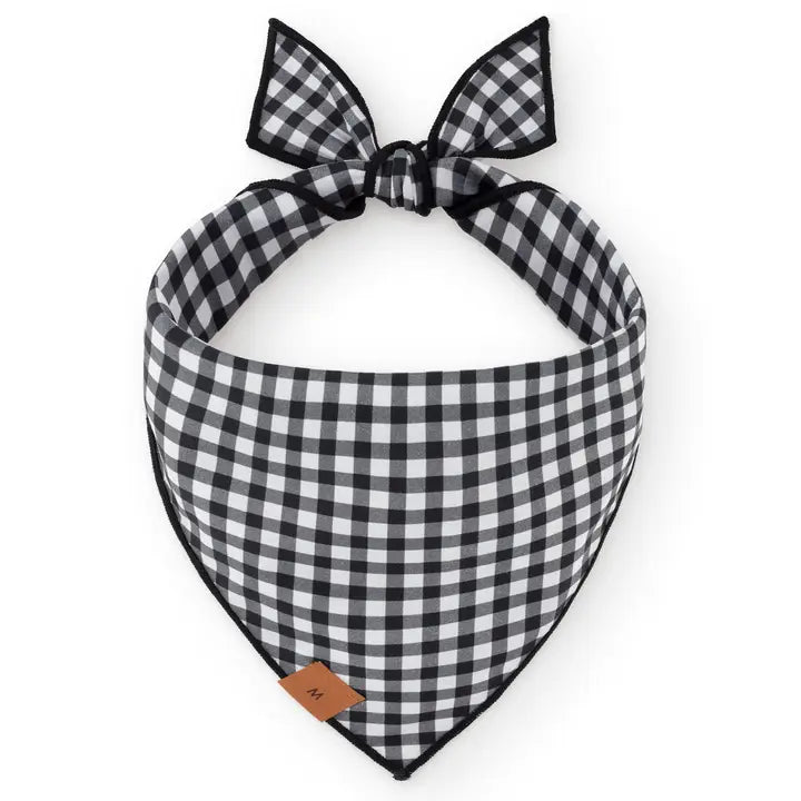 The Foggy Dog Spooky Season Reversible Dog Bandana