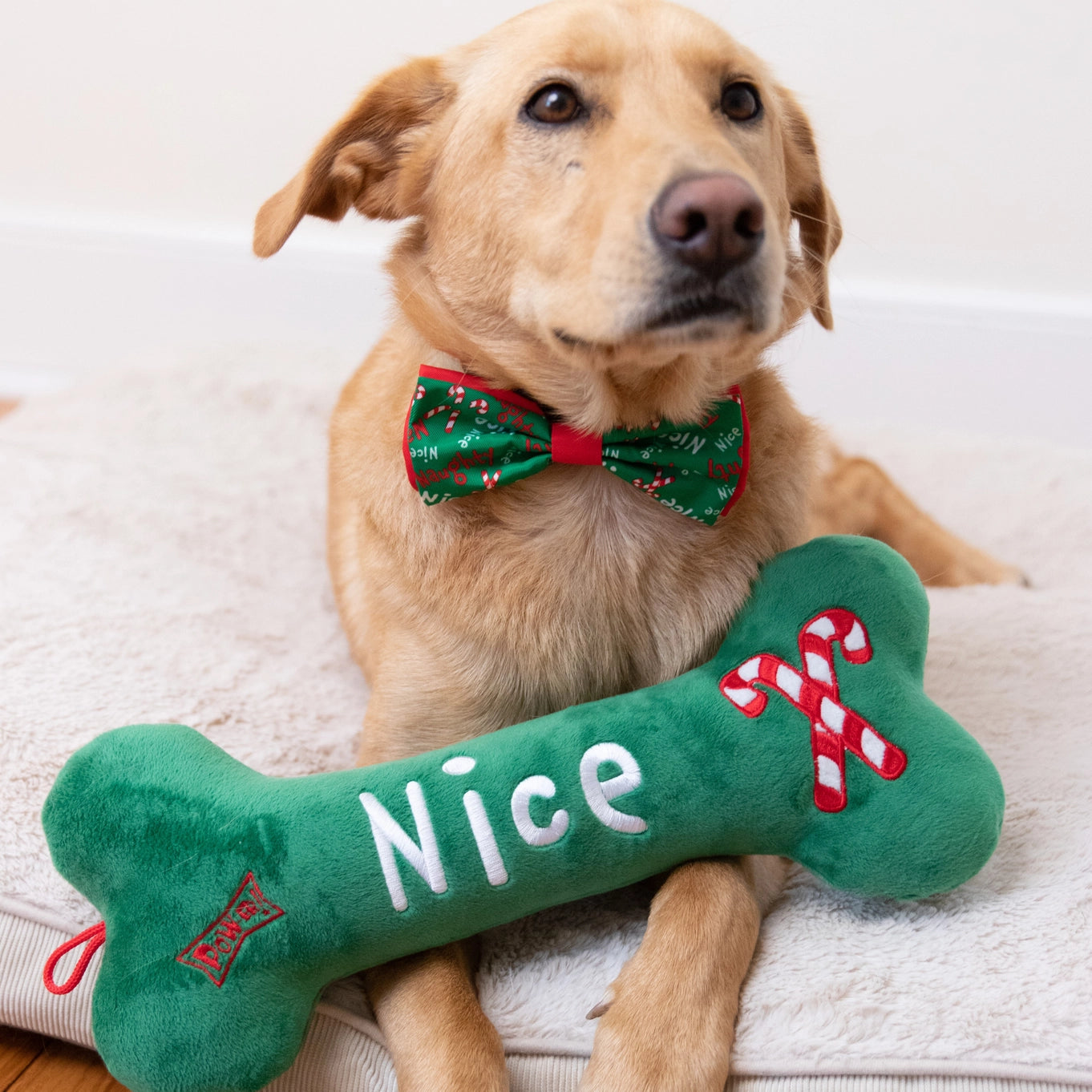 Huxley & Kent Naughty Nice Bone Dog Toy