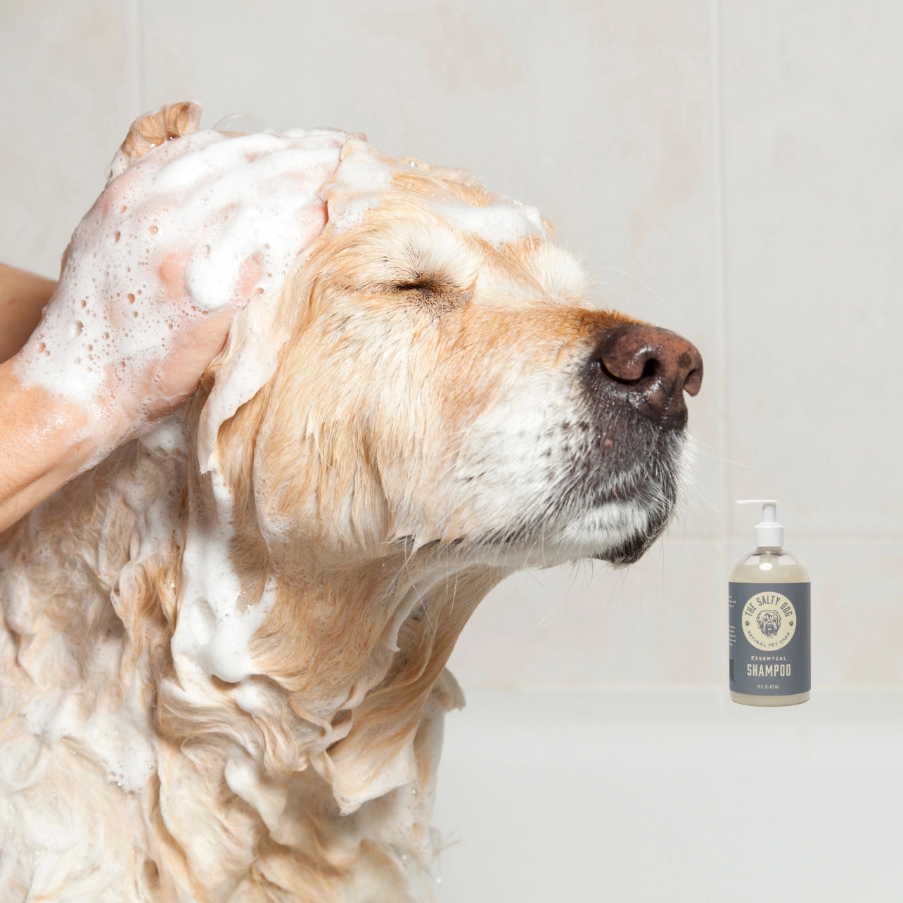 The Salty Dog Co Natural Dog shampoo With Oatmeal + honey
