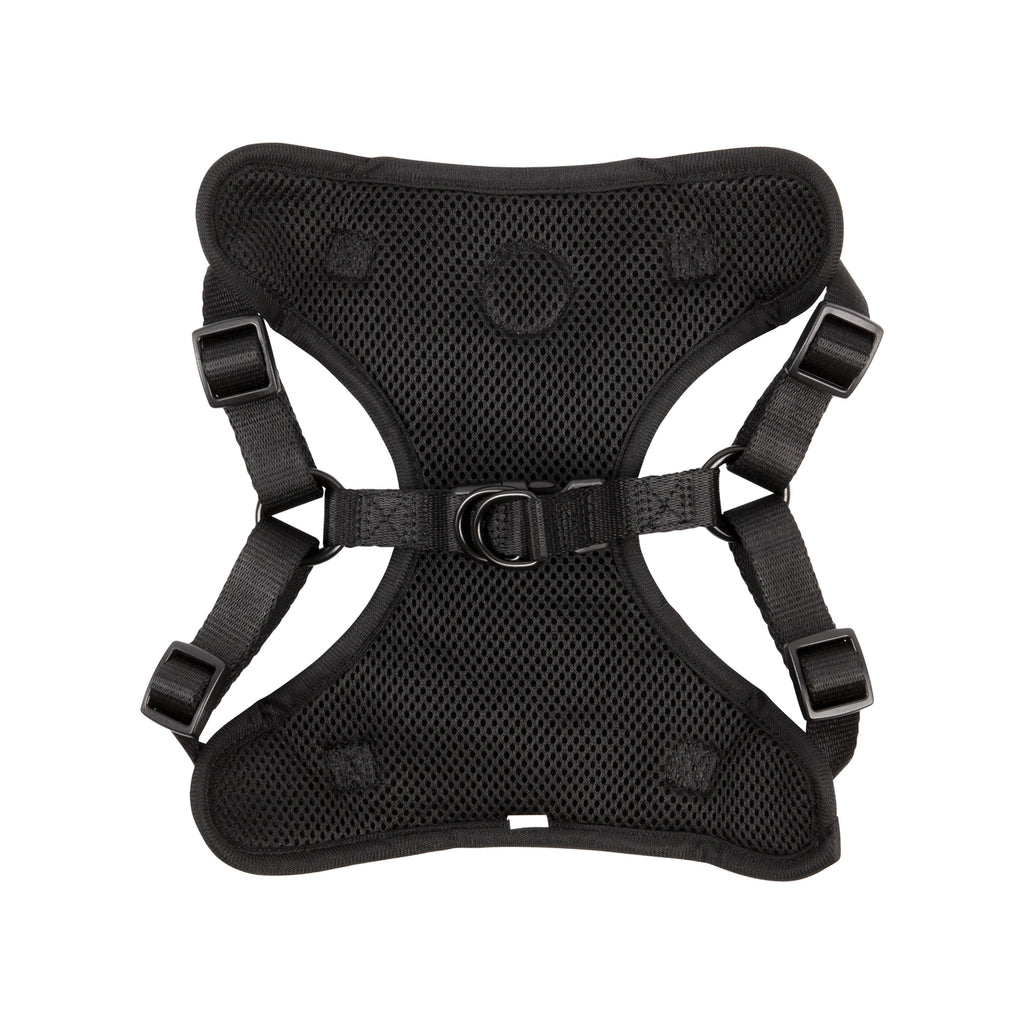 The Step-In Harness