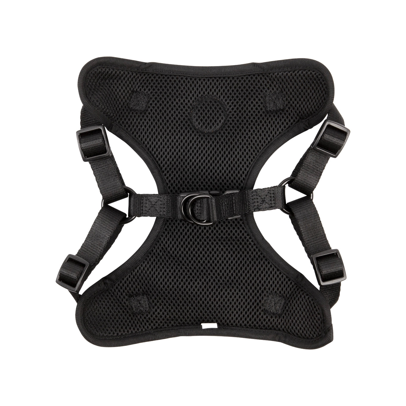 The Step-In Harness