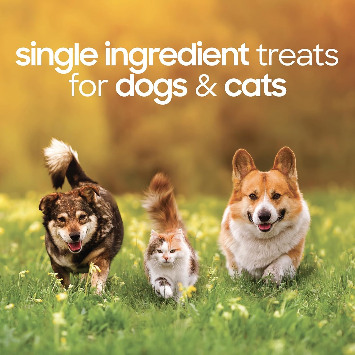 Smallbatchpets Freeze Dried Beef Hearts