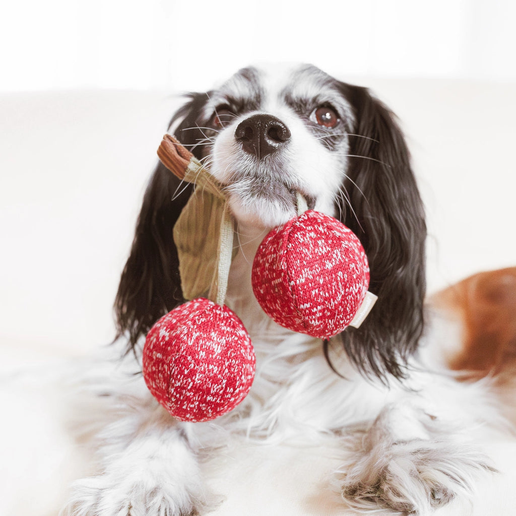 Lambwolf Collective Cherry Pop Enrichment Dog Toy