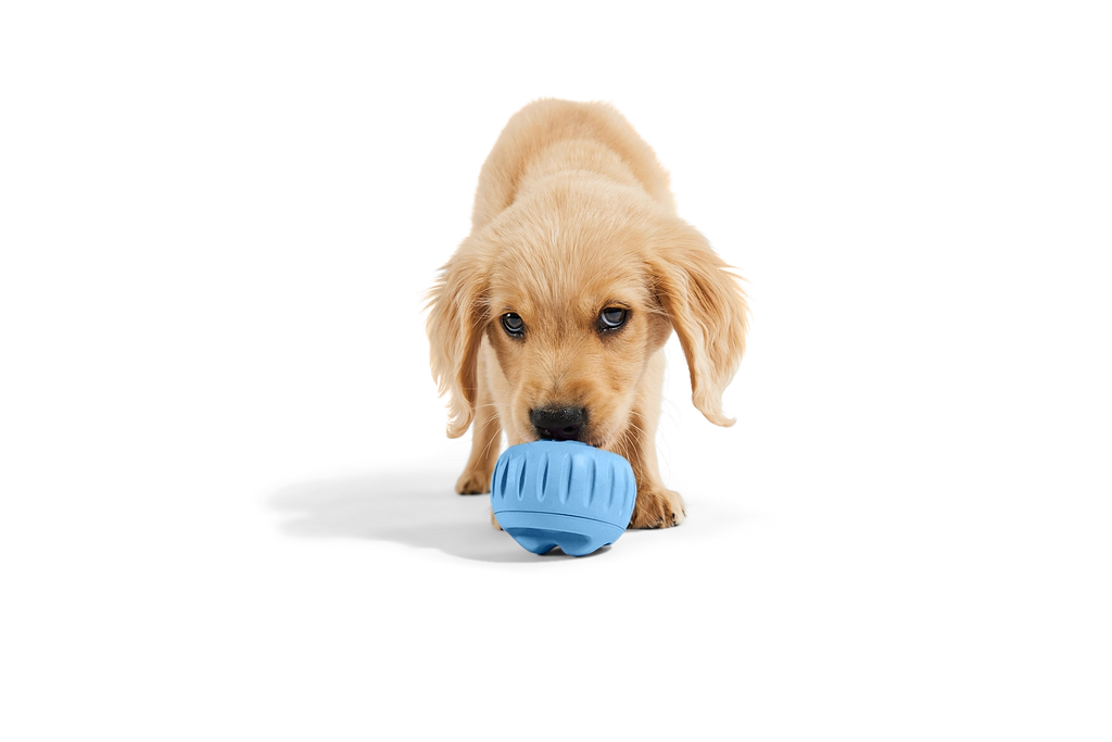 Woof Pupsicle Enrichment Toy