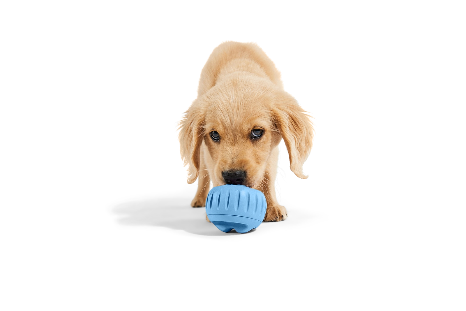 Woof Pupsicle Enrichment Toy