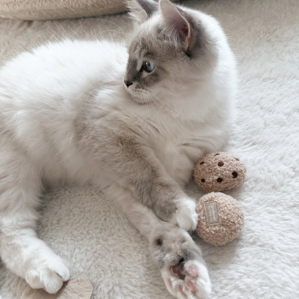 Lambwolf Collective Kitty Tea Time