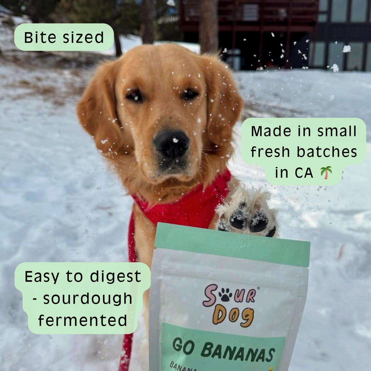 Sour Dog Go Bananas - Banana Sourdough Dog Treats