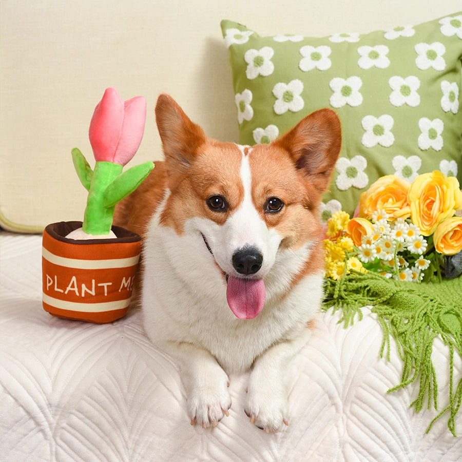 Puppy Garden | Tulip Dog Plush Toy