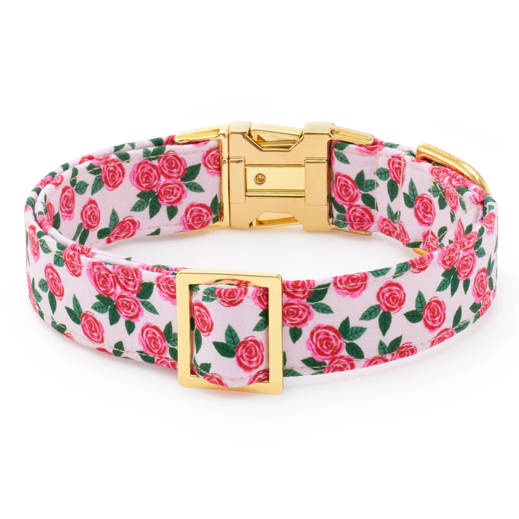 The Foggy Dog Rosette Dog Collar