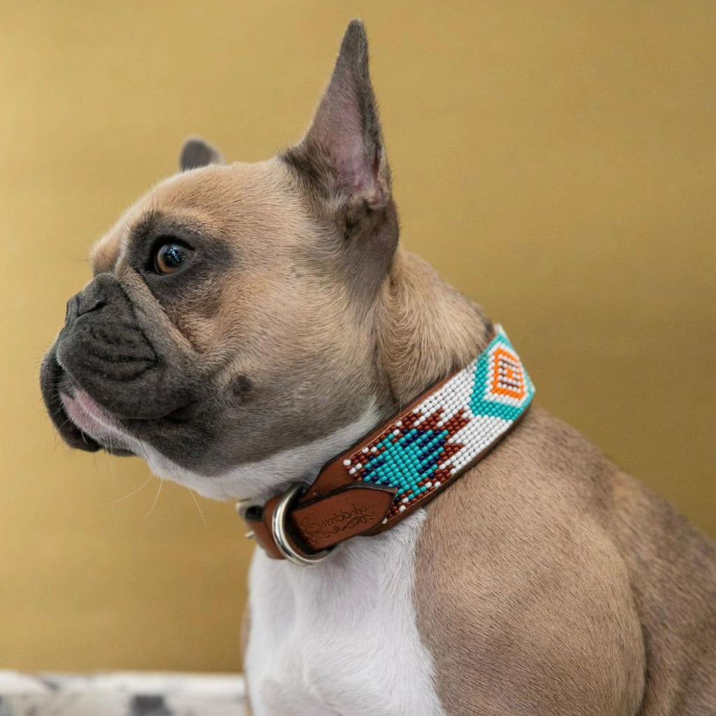 Aztec Sambboho Dog Collar