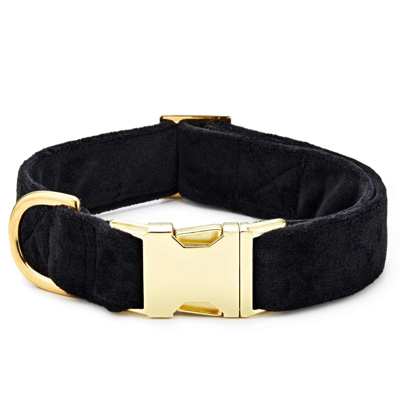 The Foggy Dog Velvet Collar