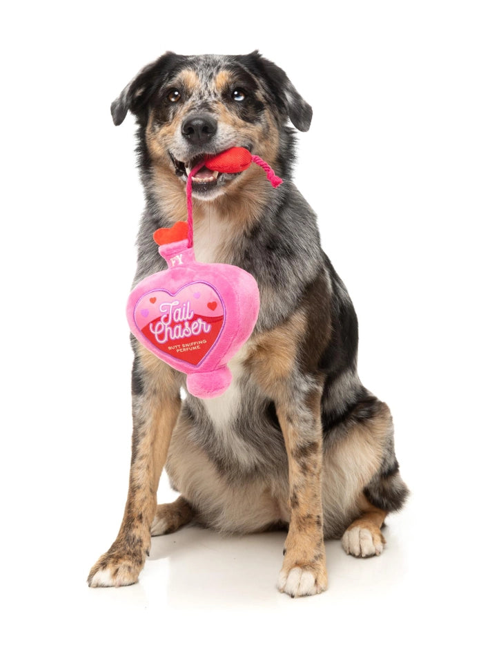 Tail Chaser Pefume Plush Dog Toy
