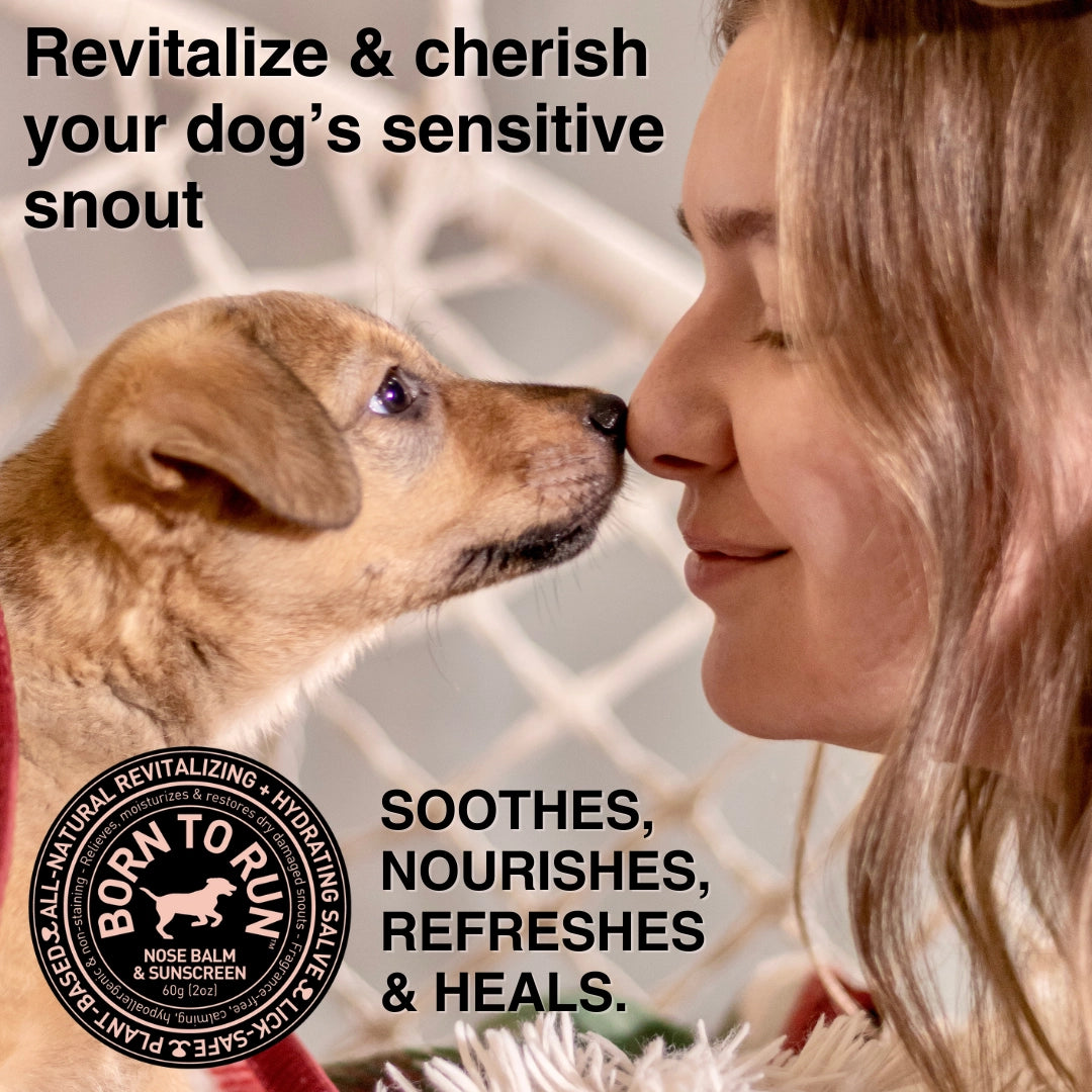 Born To Run Nose Hydrating Recovery Balm + Sunscreen Organic