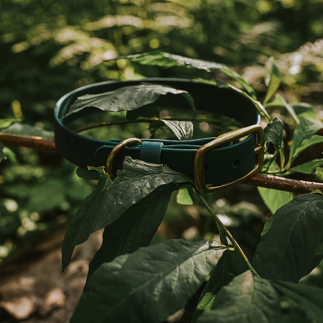 Foxmoth Modern Waterproof Dog Collar