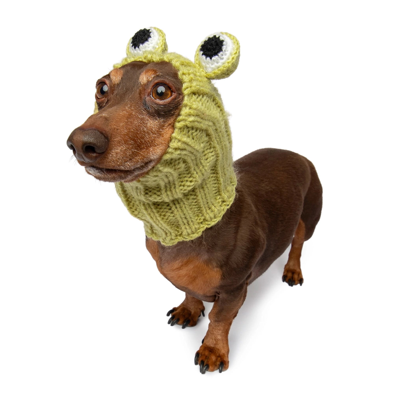 Frog Snood