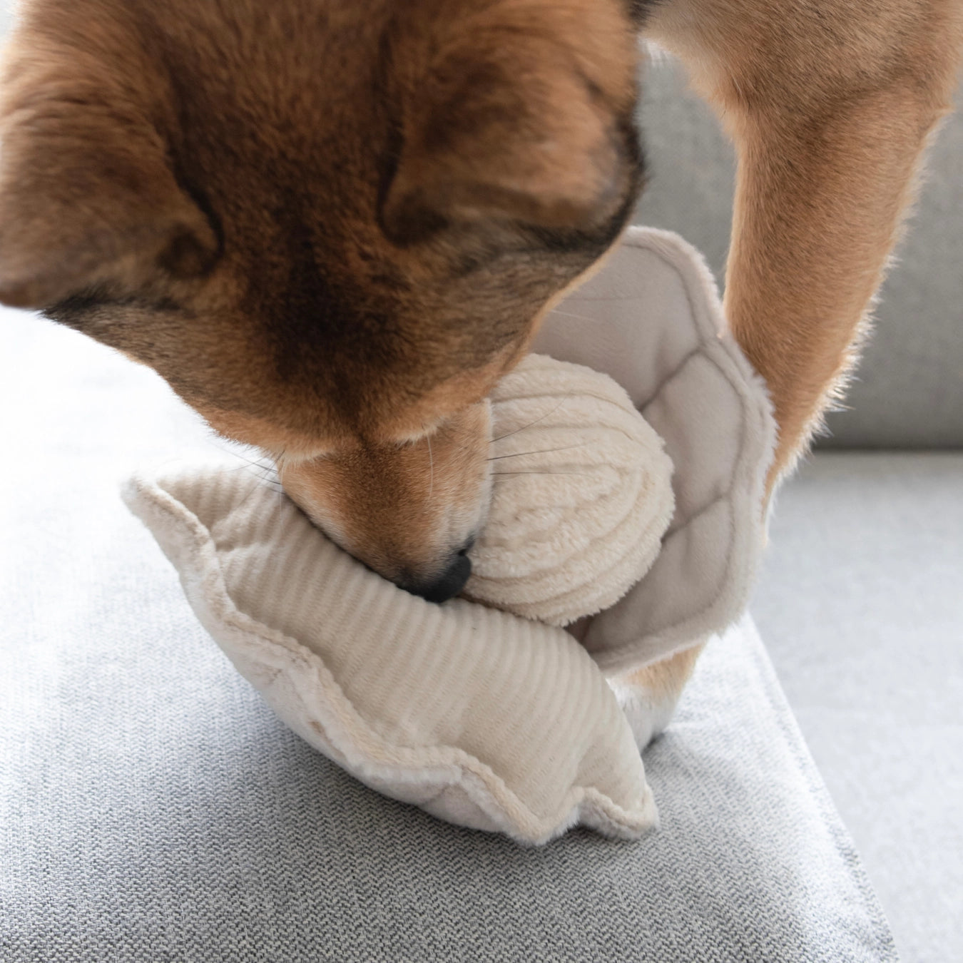 Lambwolf Collective Oyster Pop Enrichment Toy
