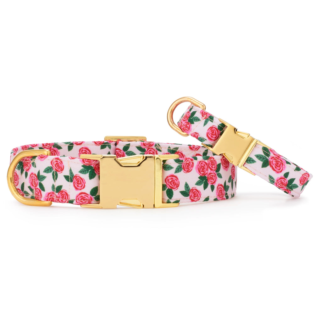 The Foggy Dog Rosette Dog Collar