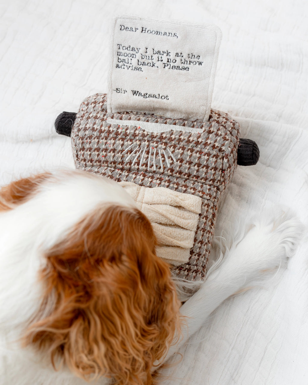 Lambwolf Collective - Typewriter // Enrichment Dog Toy