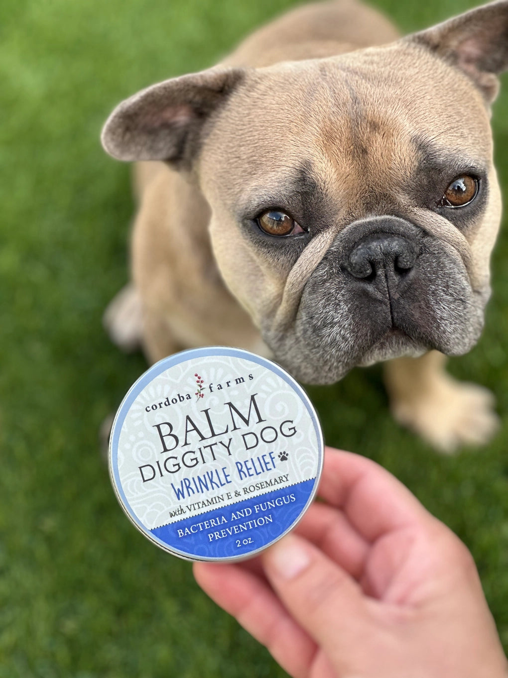 Cordoba Farms Wrinkle Relief Balm