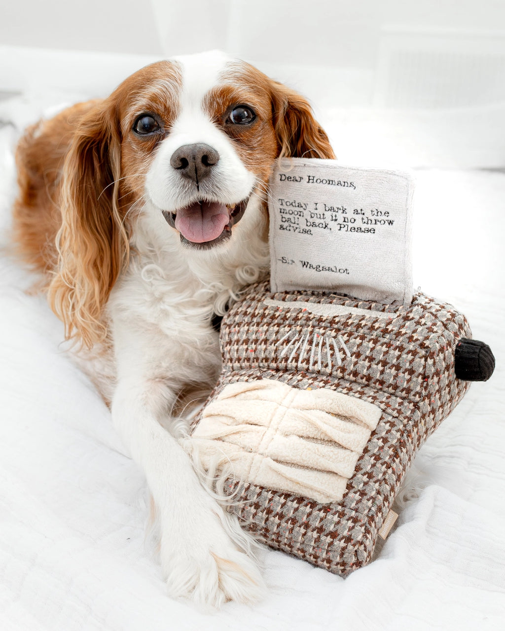 Lambwolf Collective - Typewriter // Enrichment Dog Toy