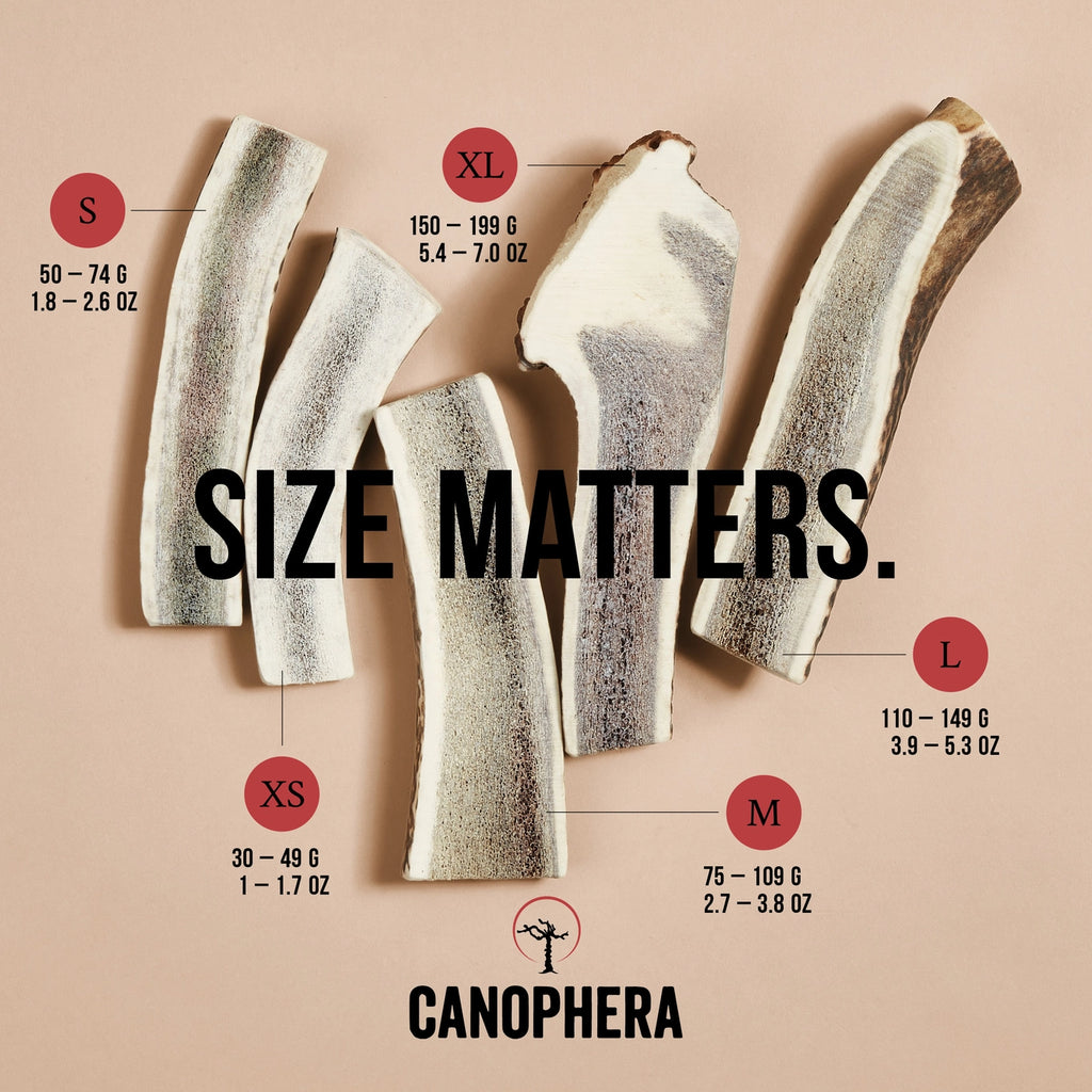 Canophera Red Deer Antler Splits