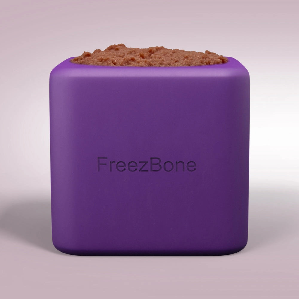 Freezbox Durable Eco-Friendly Enrichment Toy