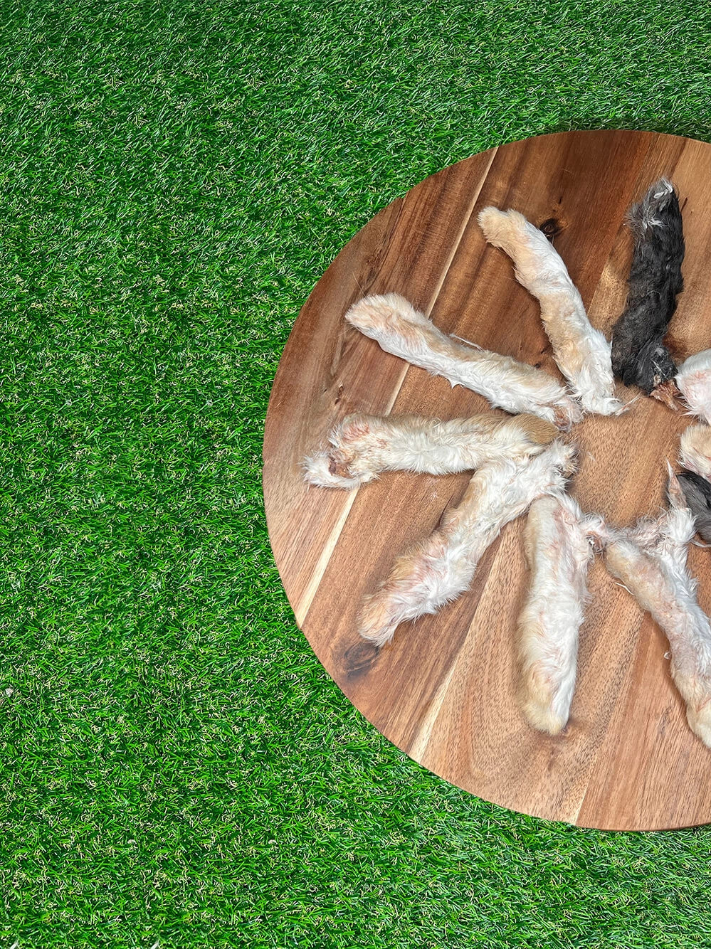 Rabbit Feet