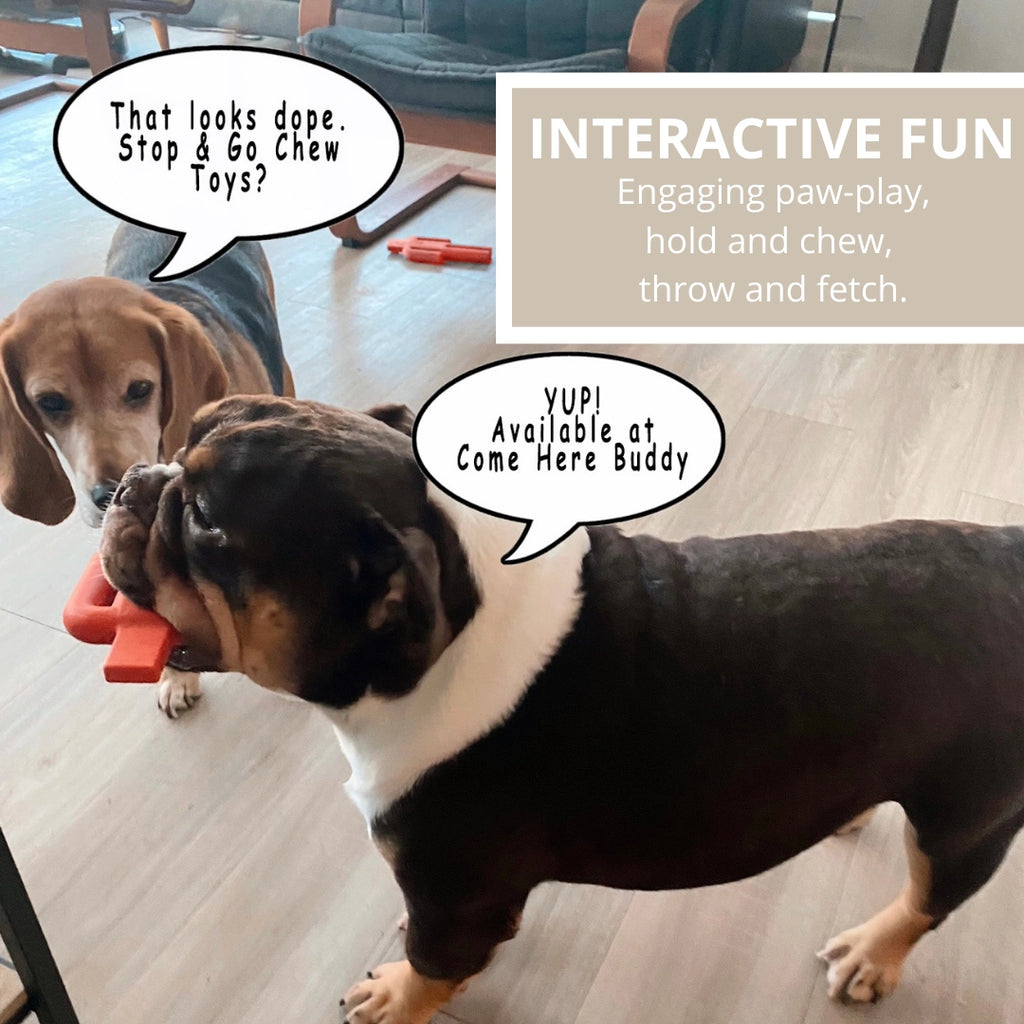 Come Here Buddy Dog Chew Toy - Stop & Go