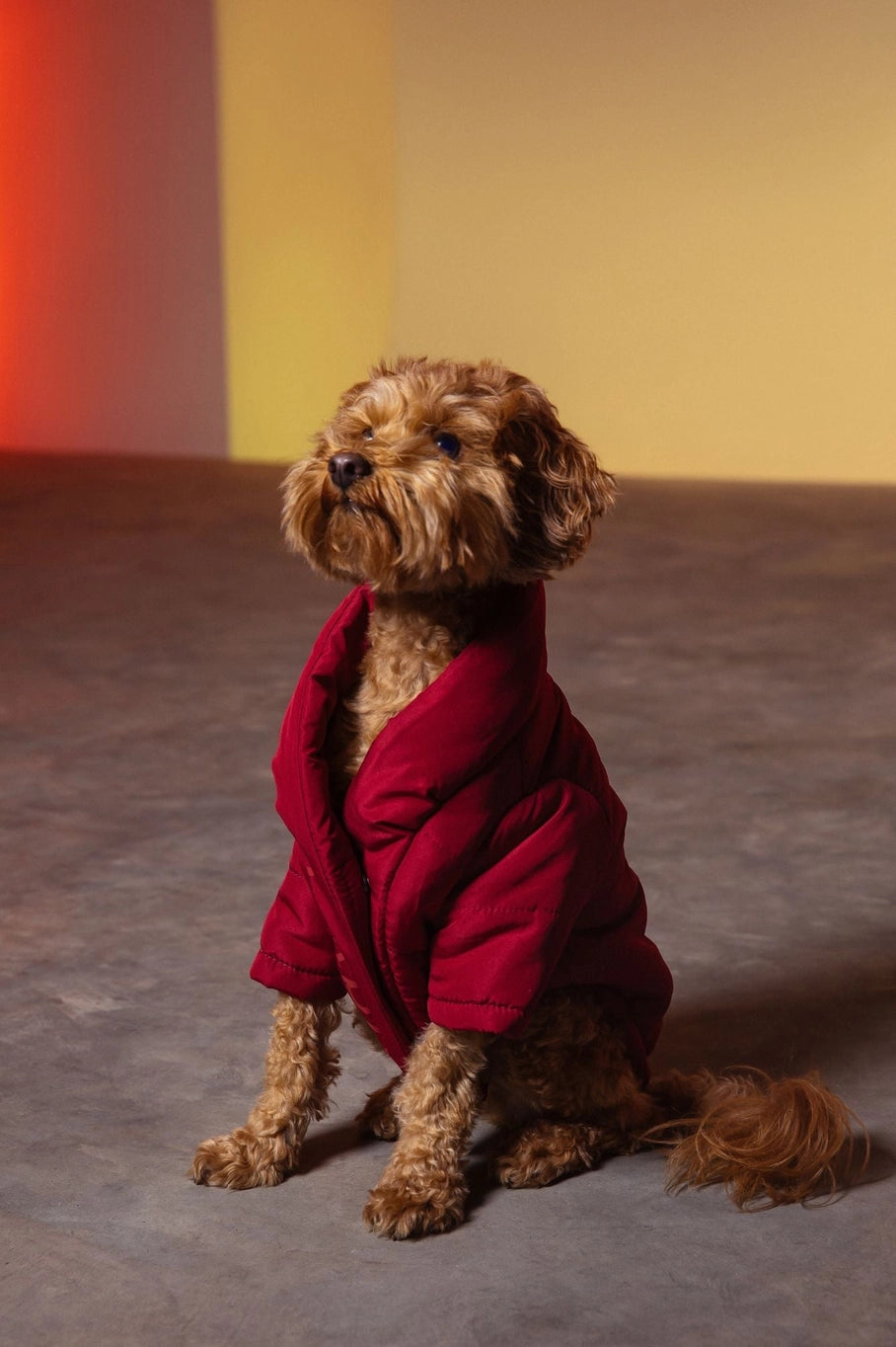 Maxbone Wrap Puffer Jacket