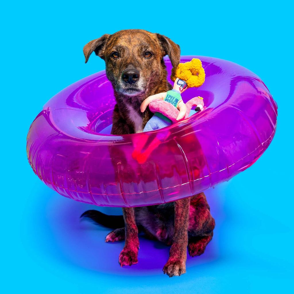 The Furry Folks Flamingo Hooman Nosework Toy