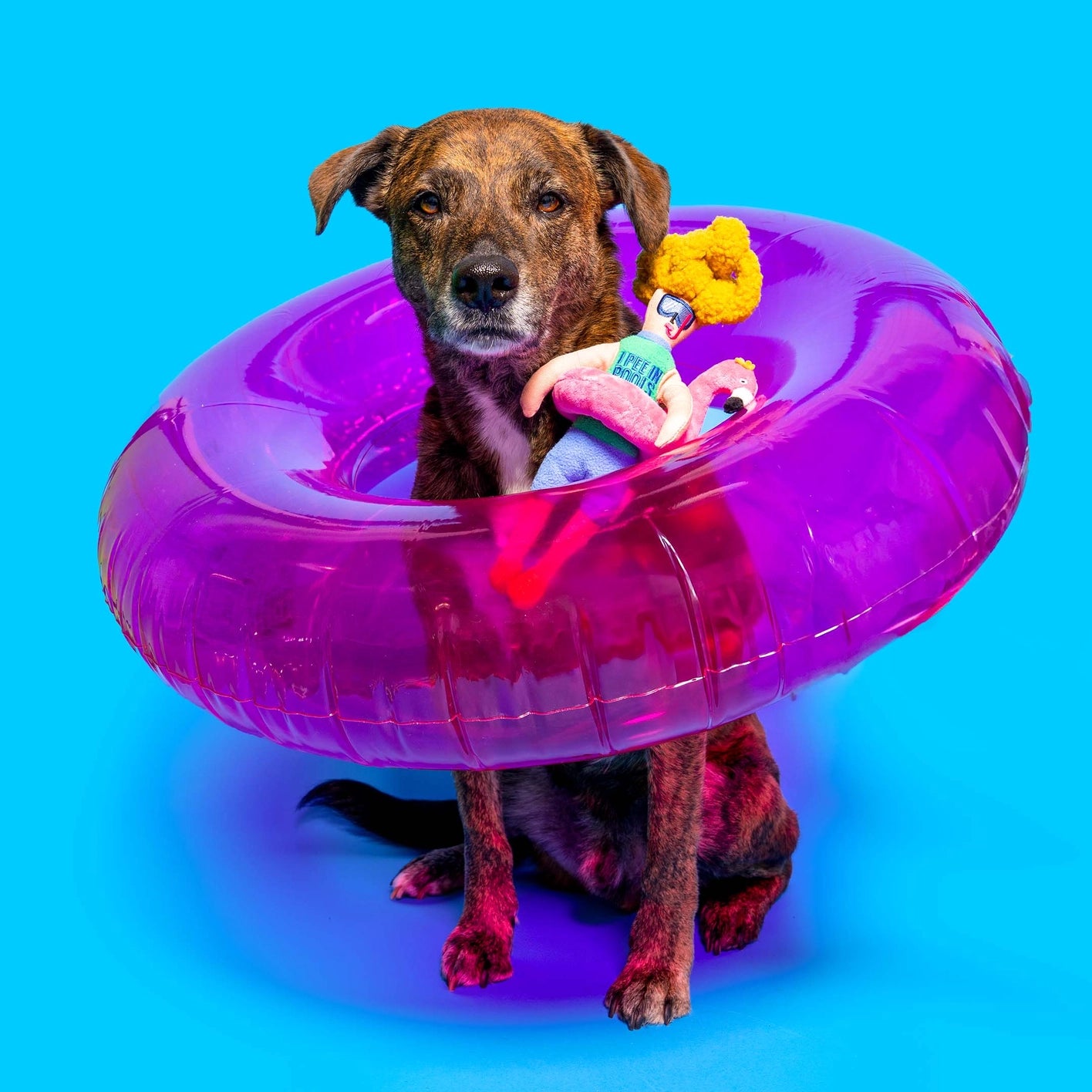 The Furry Folks Flamingo Hooman Nosework Toy