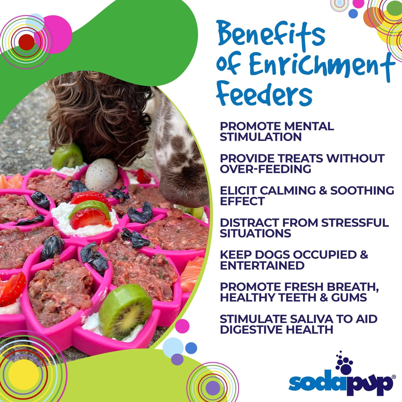 Sodapup Mandala Design Enrichment Tray For Dogs