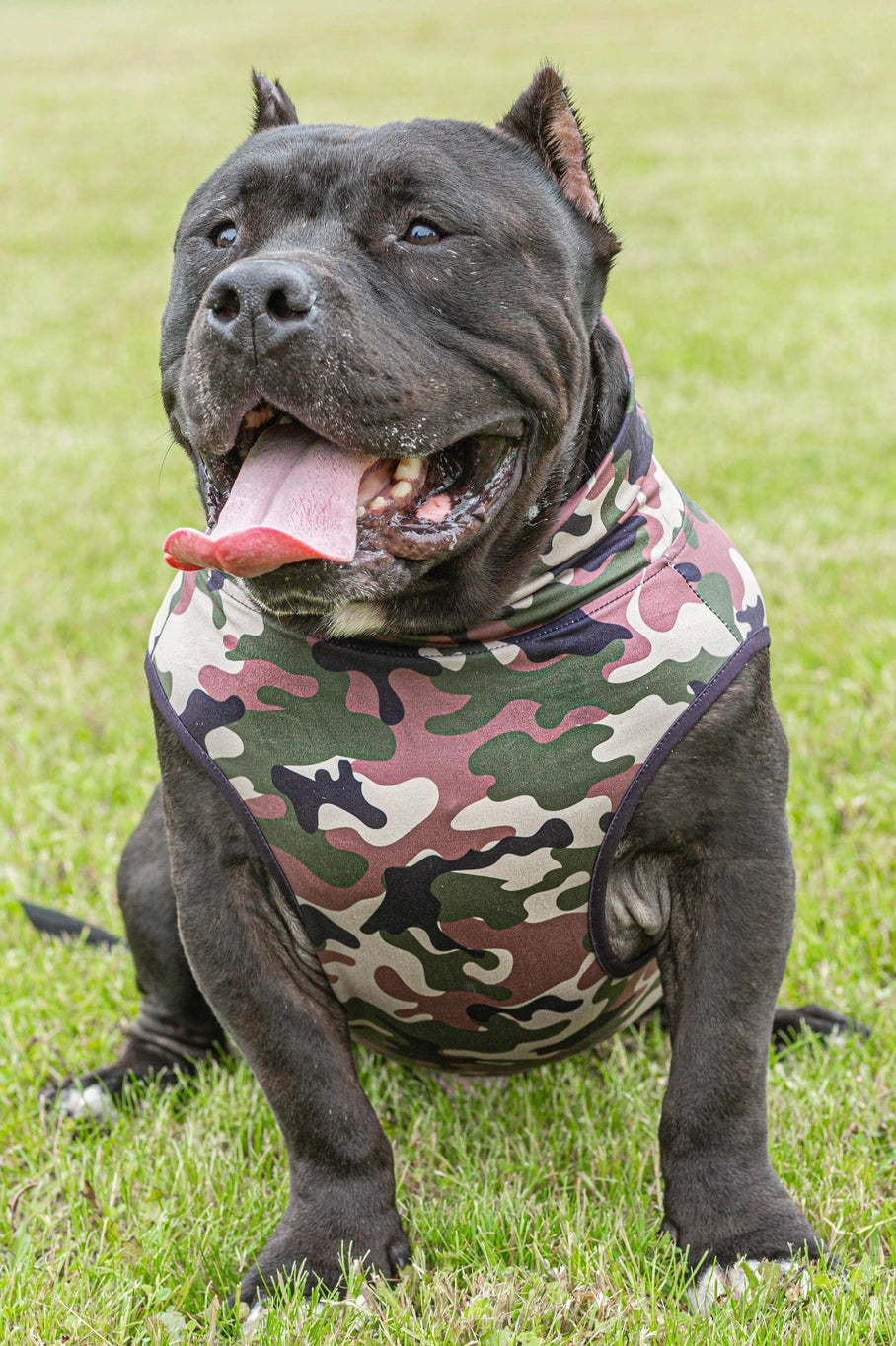 Pittie Clothing Co. Classic Camo Muscle Tee