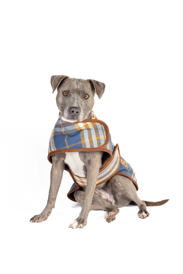 Chilly Dog Western Plaid Dog Coat