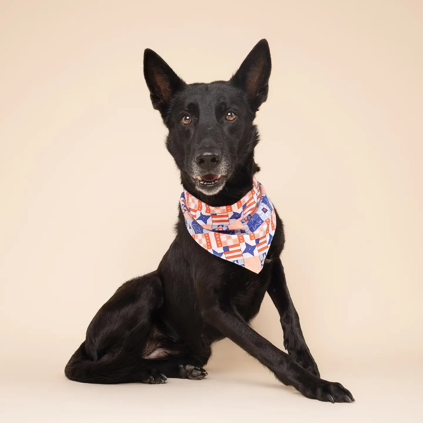 Four Paws Annex Jubilee Dog Bandana