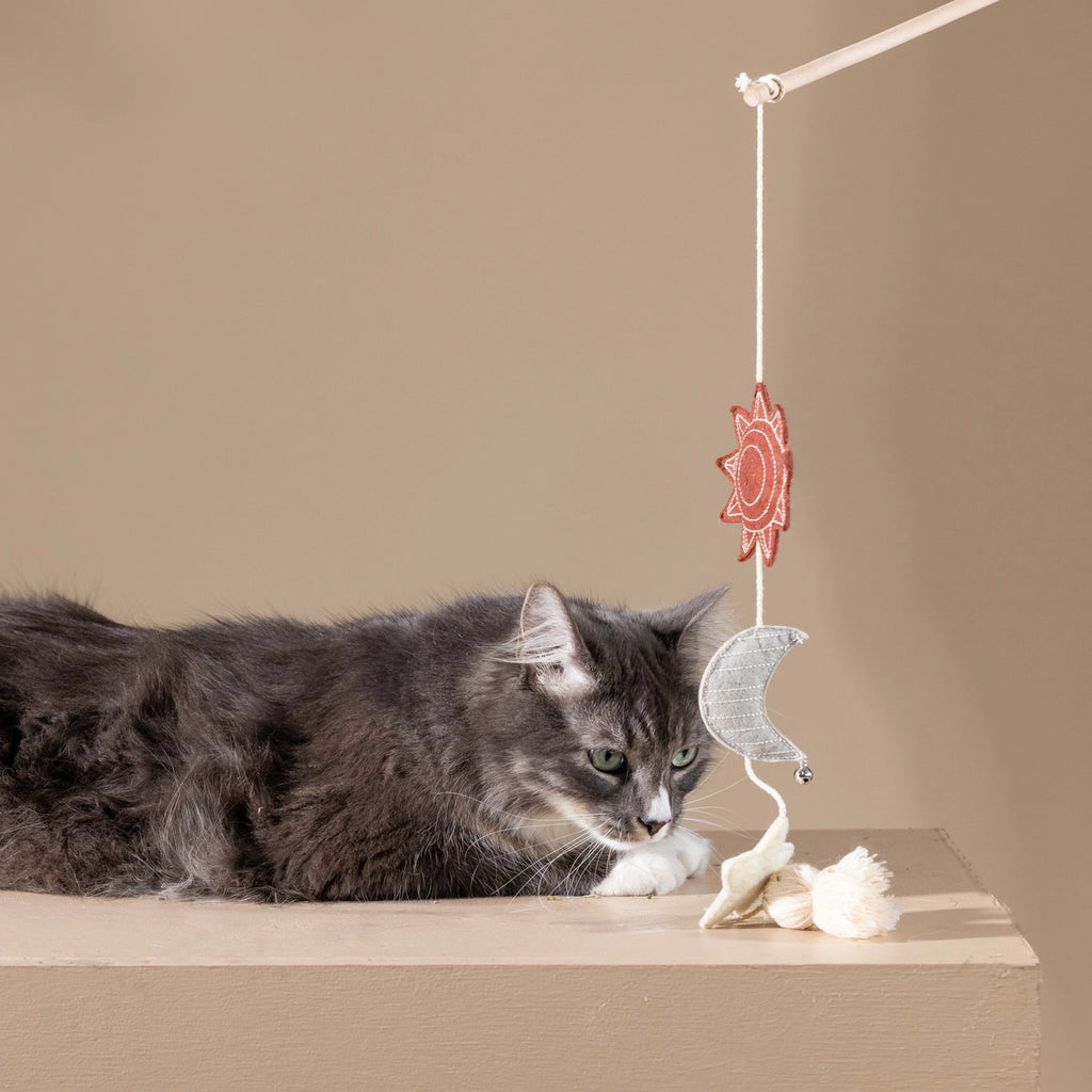 Petshop by Fringe Studio Happy Skies Multi Sensory Teaser Cat Toy