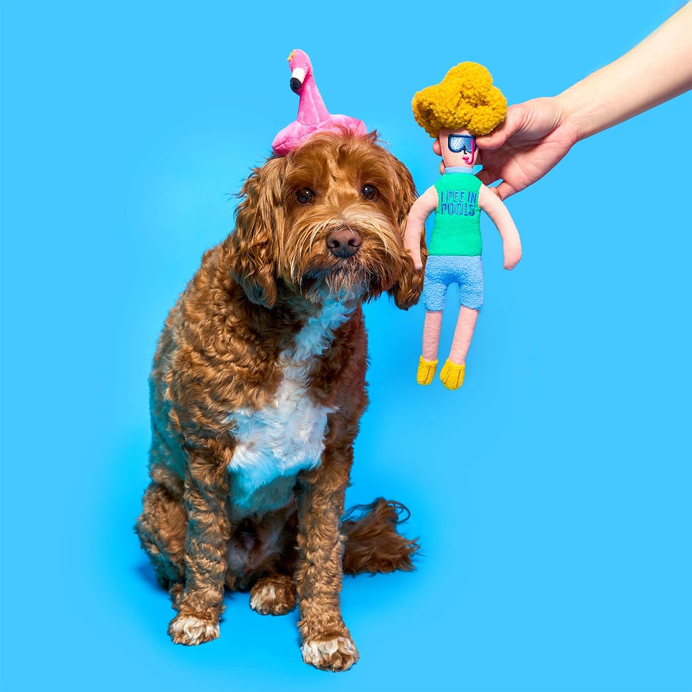 The Furry Folks Flamingo Hooman Nosework Toy