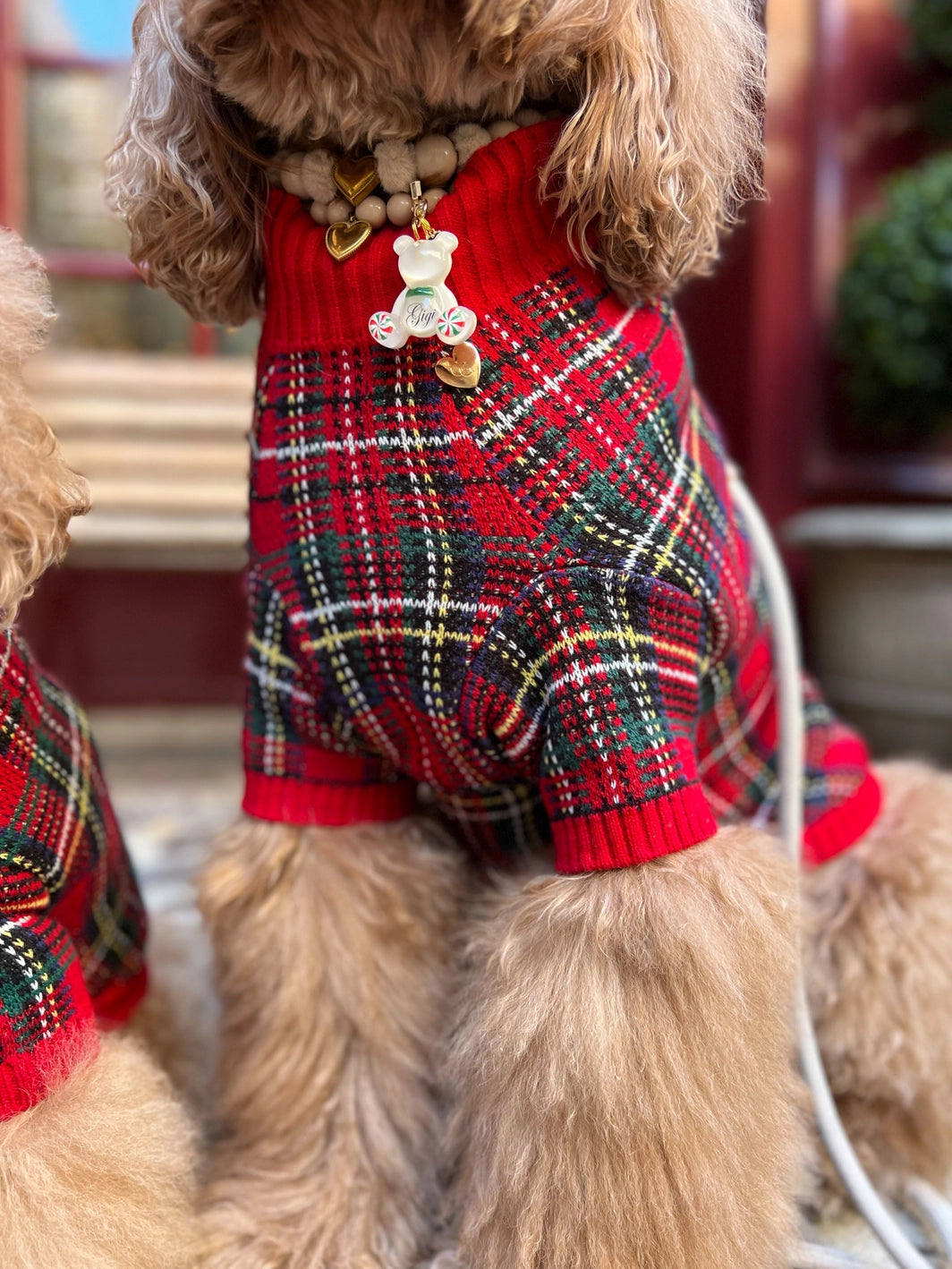 GIGI'S USA Tartanette Dog Sweater