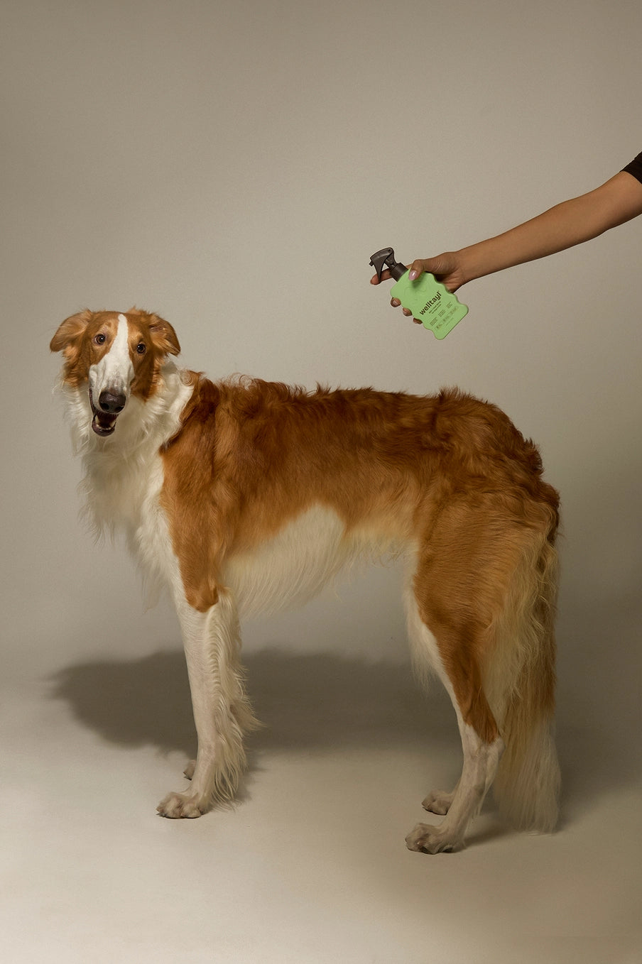 Welltayl Dog Skin + Coat Spray (Cat-Safe)