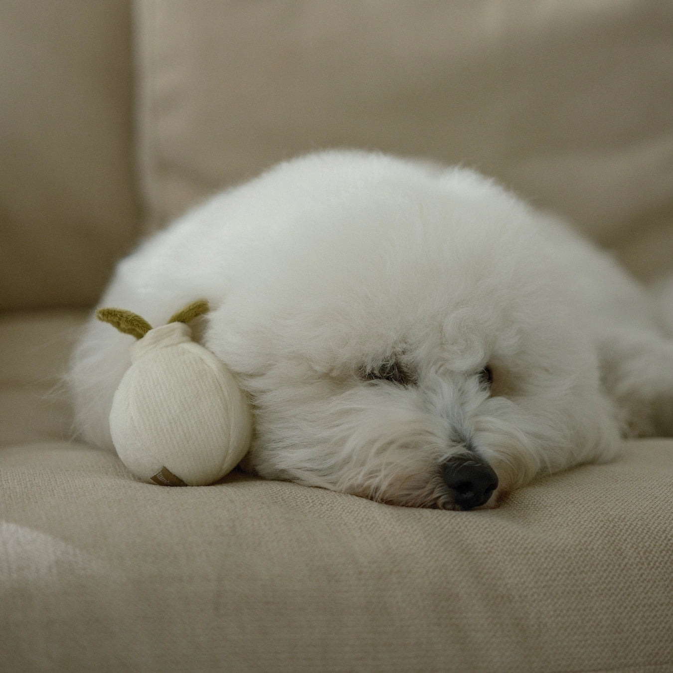 Lambwolf Collective Garlic Pop Toy