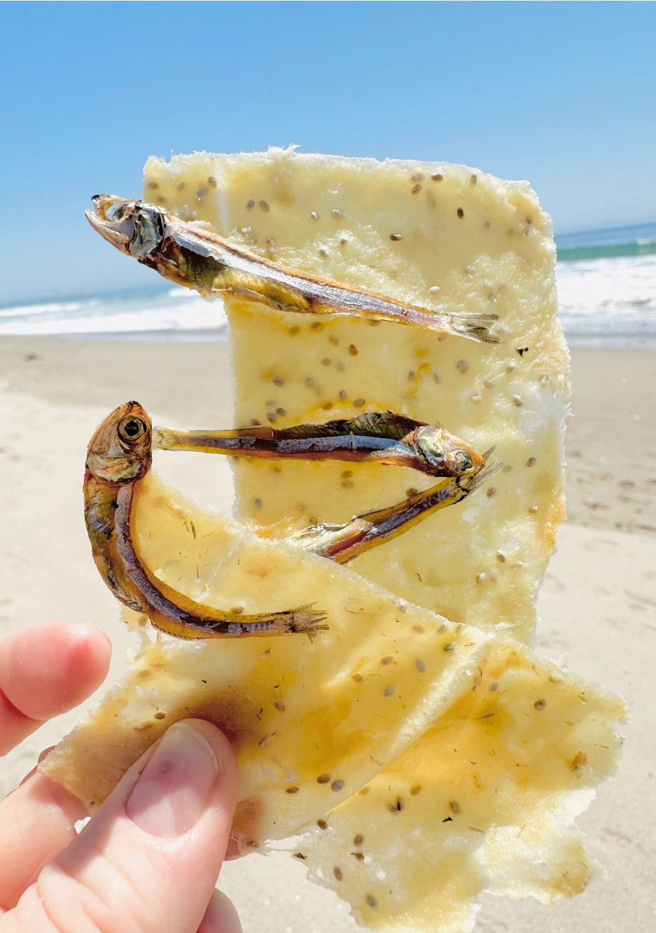 Fur Monster Goodies Wild-Caught Cod Bark: Air Dried Jerky Treat