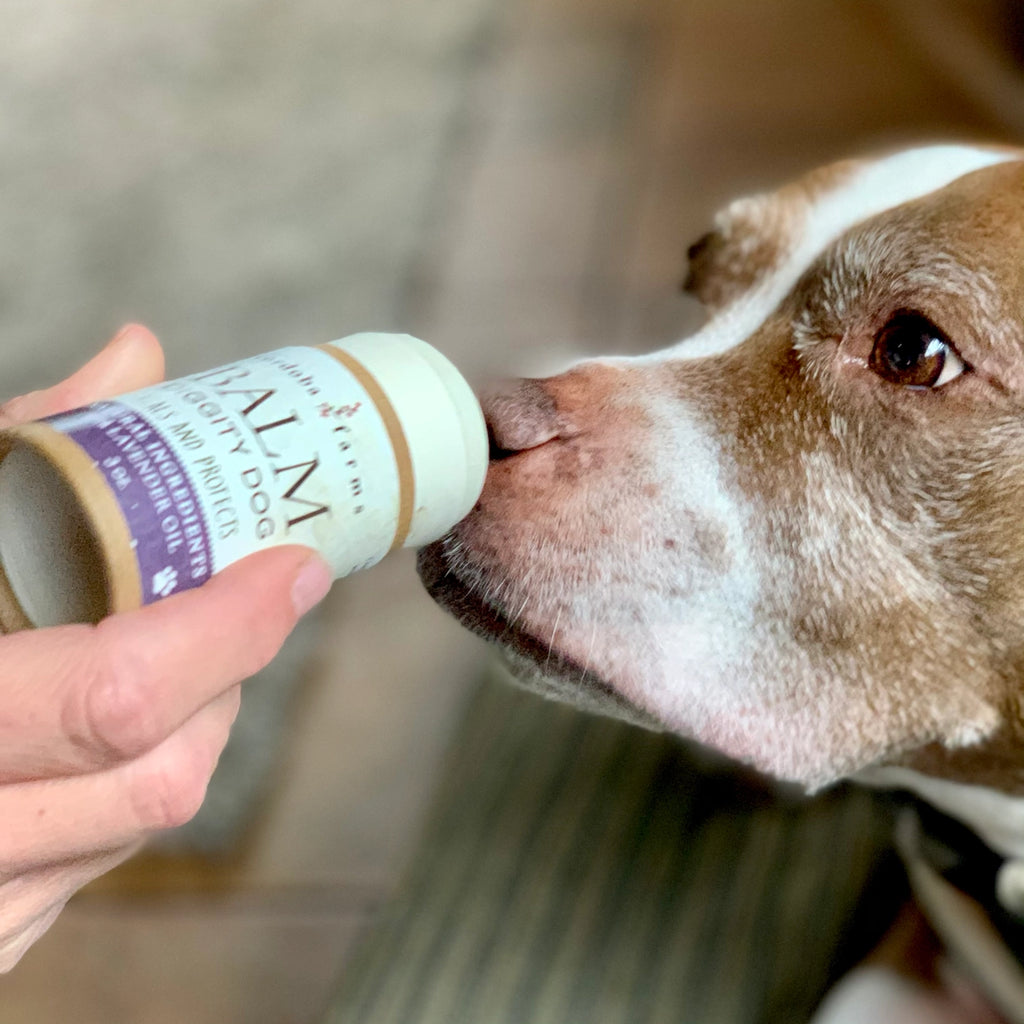 Cordoba Farms Healthy Paws Balm