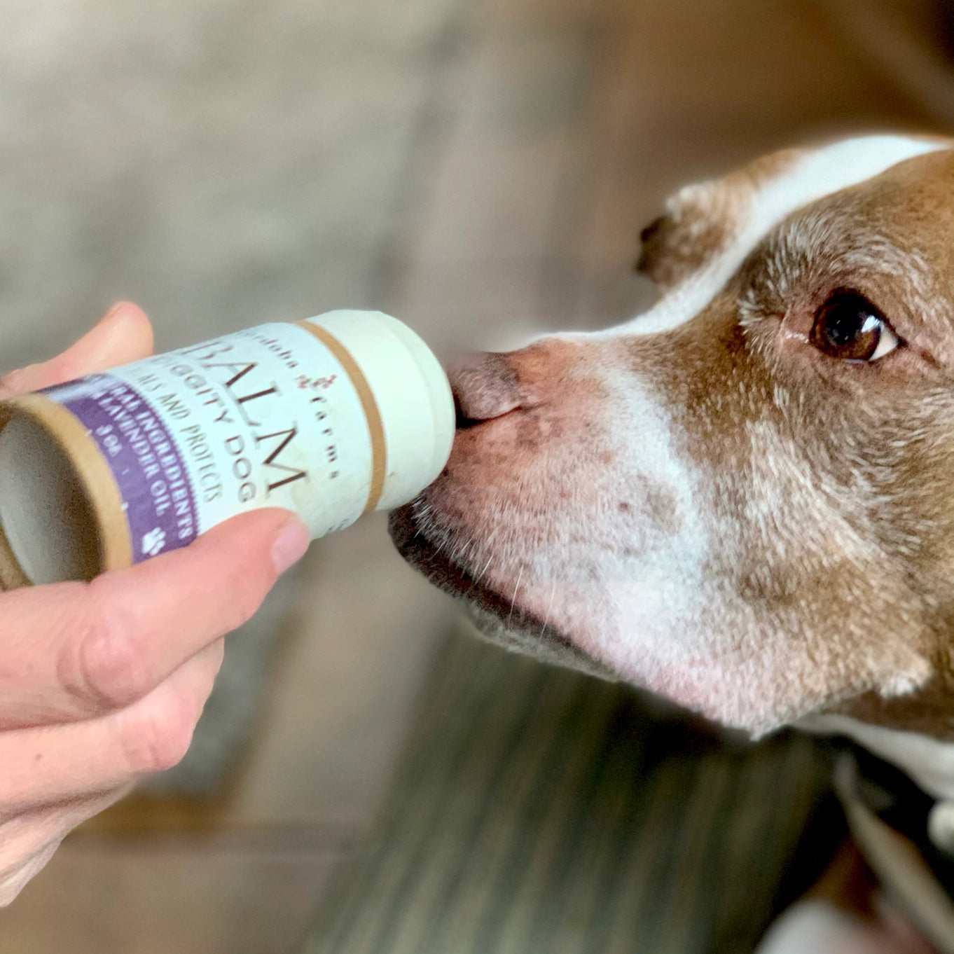 Cordoba Farms Healthy Paws Balm