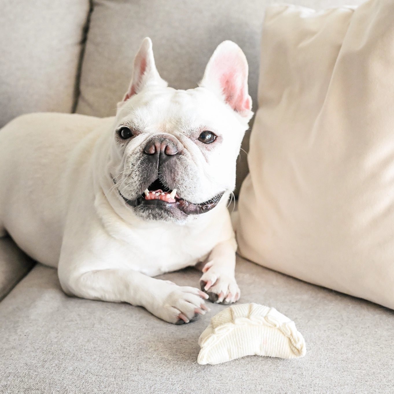Lambwolf Collective Dim Sum Pop // Enrichment Dog Toy