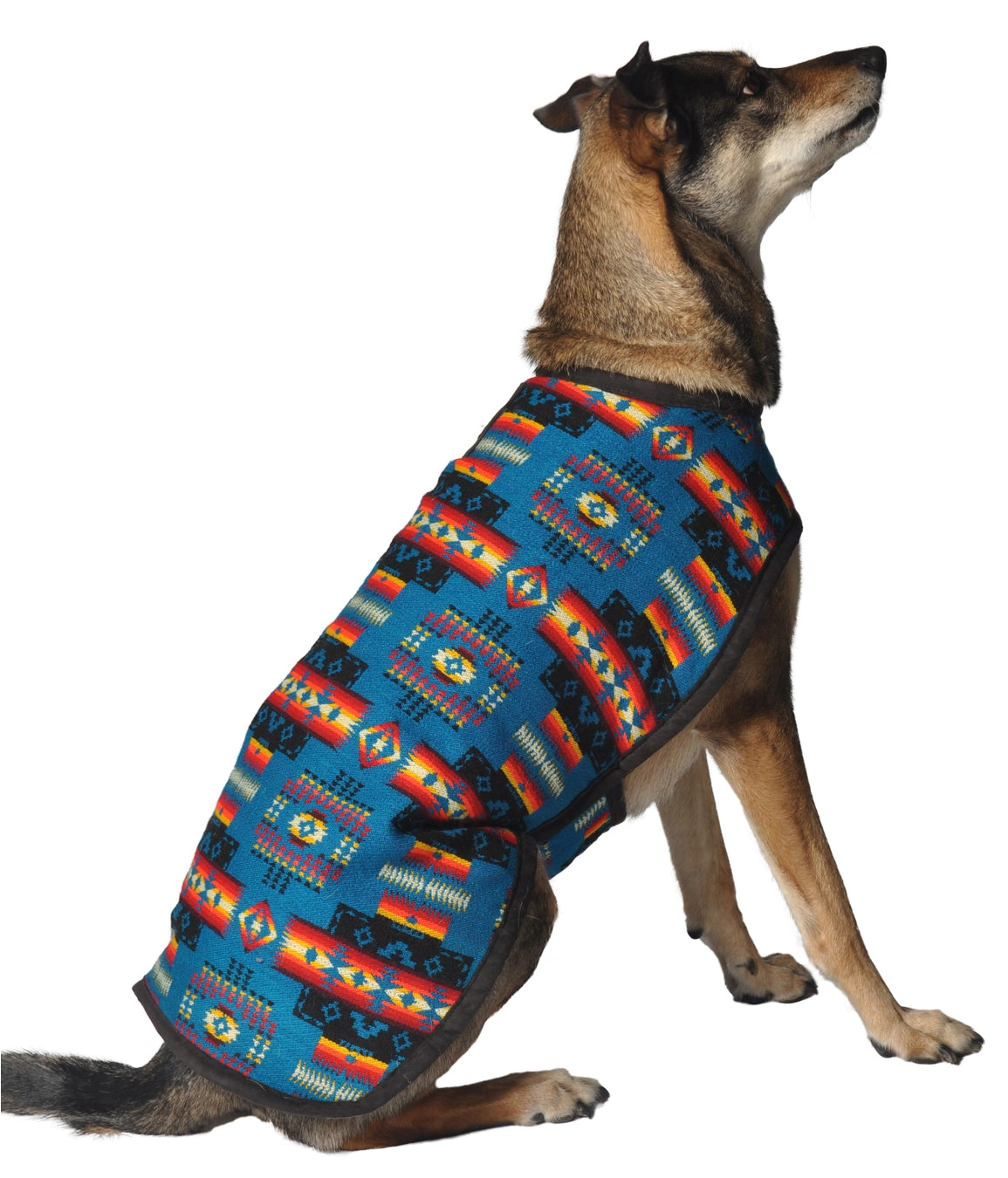 Chilly Dog Blanket Coat