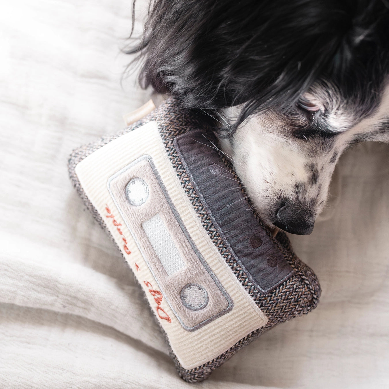 Lambwolf Collective - Cassette Enrichment Dog Toy