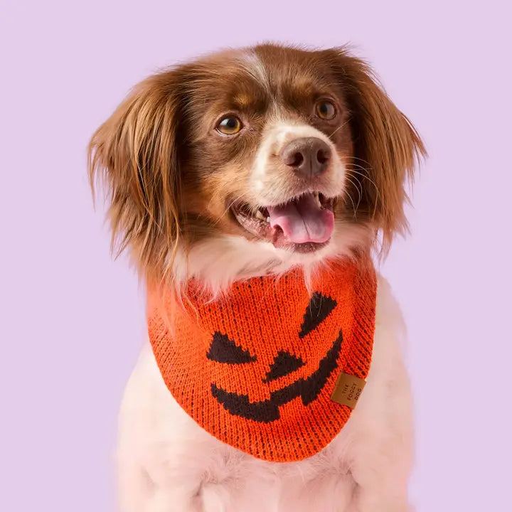 The Foggy Dog Jack-O’-Lantern Knit Dog Bandana