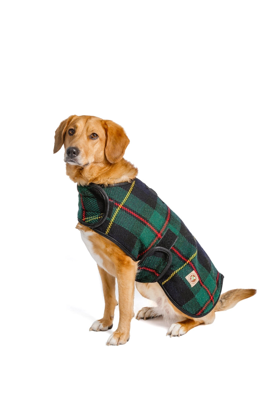Chilly Dog Blanket Coat